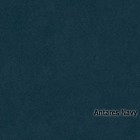 Antares-Navy