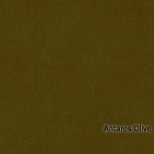 Antares-Olive
