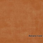 Bolzano-Coral