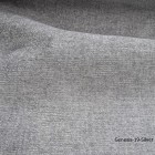 Genesis-19-Silver