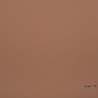 Logan-50