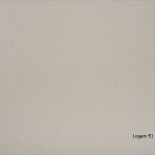 Logan-91