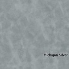 Michigan-Silver